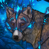 Wolf Headshot