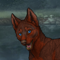 sell male red pup 1 Headshot