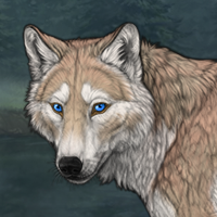 Aleu Headshot