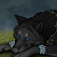 Wolf Headshot
