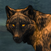 Wolf Headshot