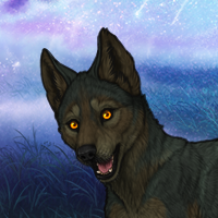 Lichen Headshot