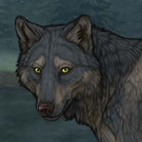 Wolf Headshot