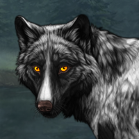 Wolf Headshot