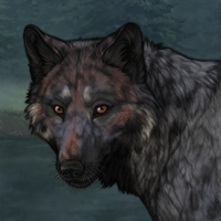 Wolfshade Headshot