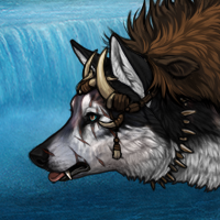 Wolf Headshot