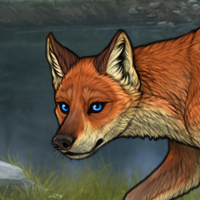 Blue-Fox Headshot