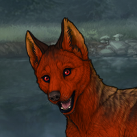 ((Pup))Red; 3M Headshot