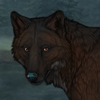 Pollen Pelt Headshot