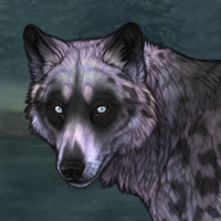 Crystal Husky Headshot