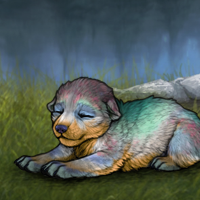 New Runt Puppy** Headshot