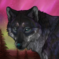Wolf Headshot