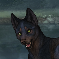 Blueschist Headshot