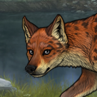 R&C Fox Headshot