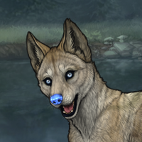 TII 4m husky Headshot