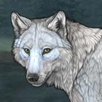 Wolf Headshot