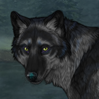 Ravenfrost Headshot