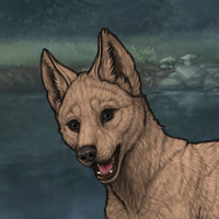 male fawn base Headshot