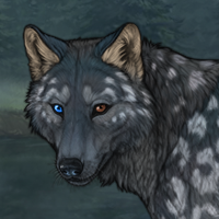 Greypup Headshot