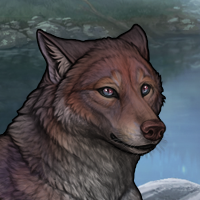 Moonlight Points Headshot