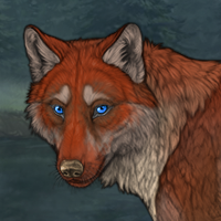 Wolf Headshot