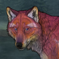 Sunset fox keep Headshot