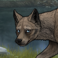 Ashpaw Headshot