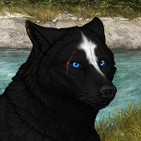 Wolf Headshot