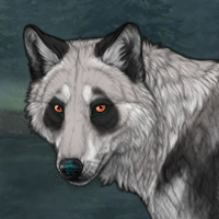 (p) Clouded Panda Headshot