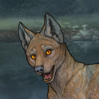 TumbleweedPelt Headshot