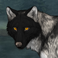 Wolf Headshot