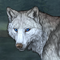 Wolf Headshot