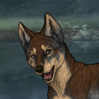 Thornpup Headshot