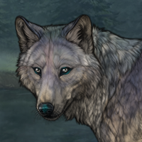 Tundra Headshot