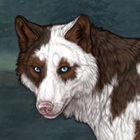 Pherenike - Piebald Headshot