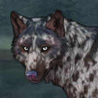 Gladepatch Headshot