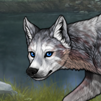 Arcticpaw Headshot