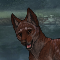 Enclave Pup Headshot