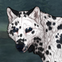 Wolf Headshot
