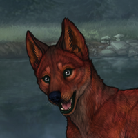 Crimsonpaw Headshot