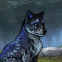 Blueschist Headshot