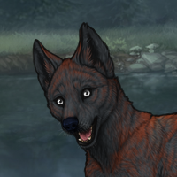 Thyla Headshot