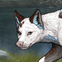 Piebald: Dip Headshot