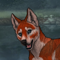 Enclave Pup Headshot