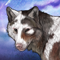 Pitsiulaaq - Piebald Headshot