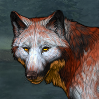 Wolf Headshot