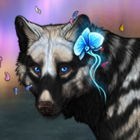 Wolf Headshot