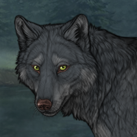 Wolf Headshot