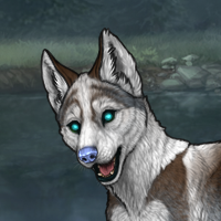 Siqoq 8M Husky Headshot