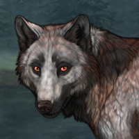 Howlite Male 5 Markings Headshot